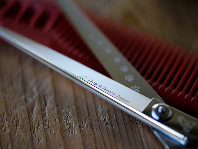 ドッグ シザーズ ジャパン ソラ(Sora)平刃ストレートシザー（straight