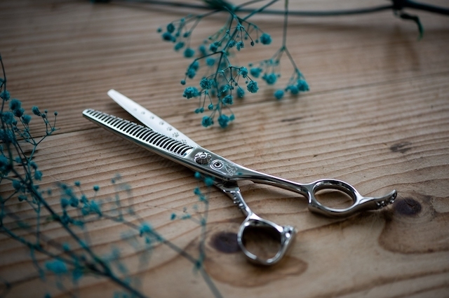 ドッグ シザーズ ジャパン セニング（Thinning） リン(Rin) DKR-15(DOG