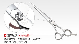 ヒカリ 5STAR COSMOS 155 156 157(ファイブスターコスモス・6.0/6.5