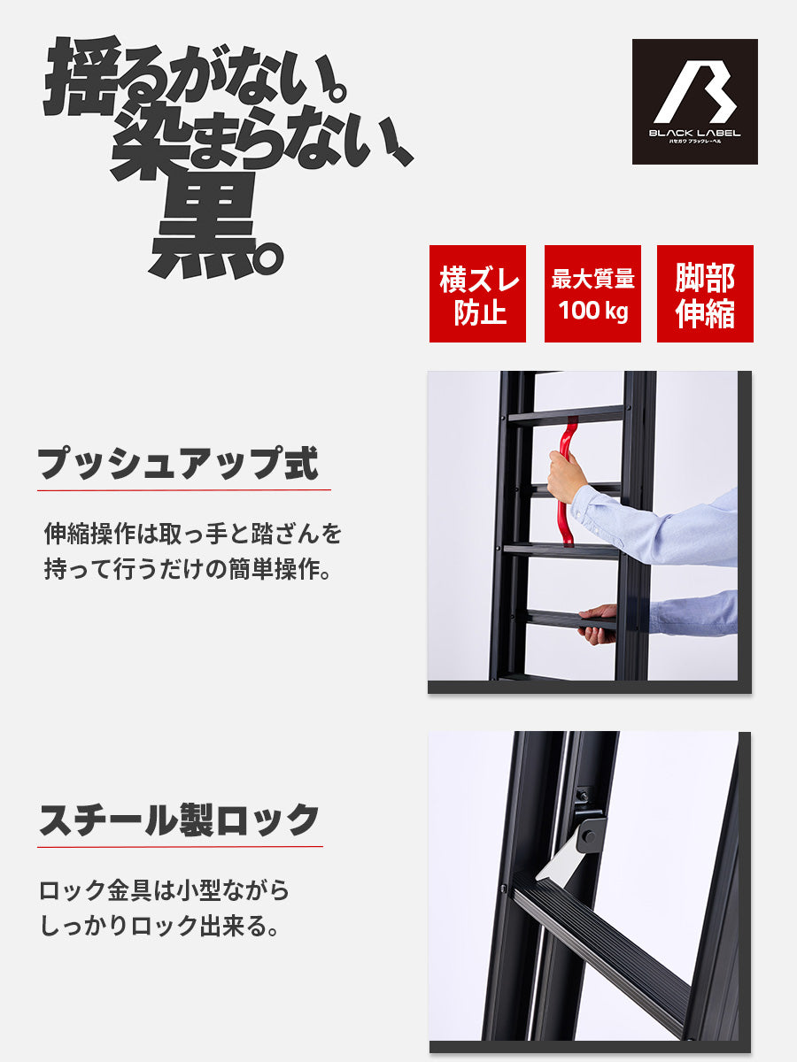 公式】長谷川工業 脚部伸縮2連はしご ブラック 3.8mタイプ – Hasegawa