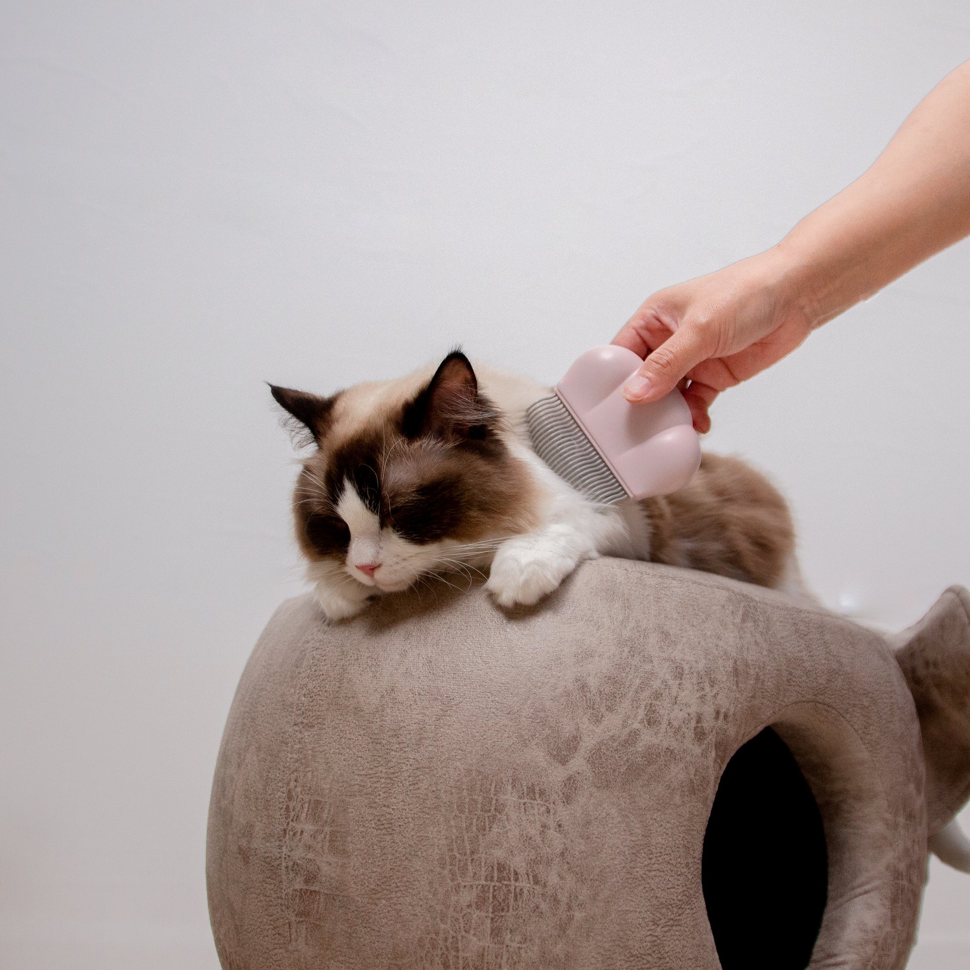 肉球型ブラシ – HAUMI