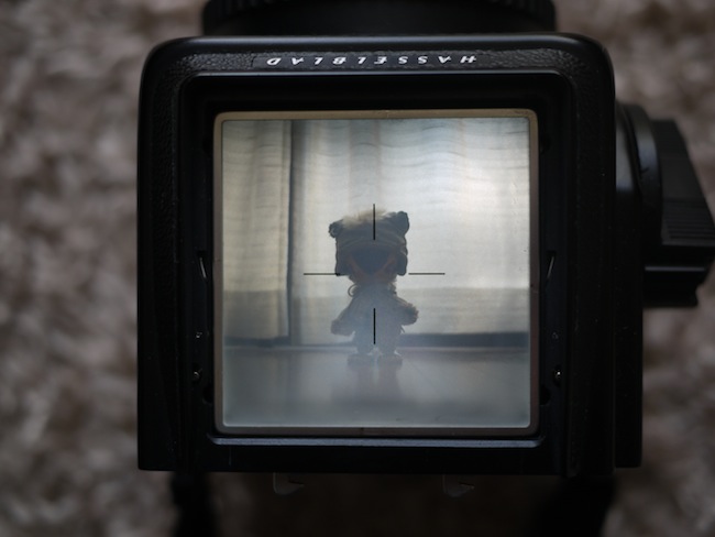 HASSELBLAD ハッセルブラッド スクリーン 方眼 フォーカシング