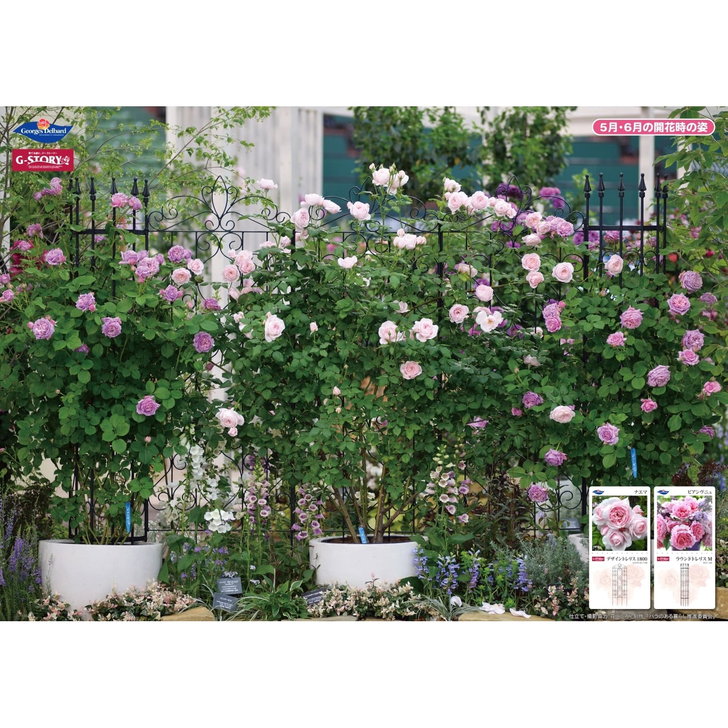 ローランサンの多色刷りリトグラフ 園遊会 ガーデンパーティー 女流