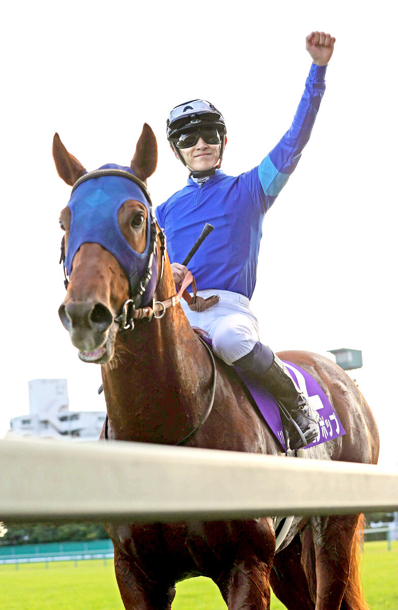 坂井瑠星騎手 直筆サインカード レモンポップ 競馬カード