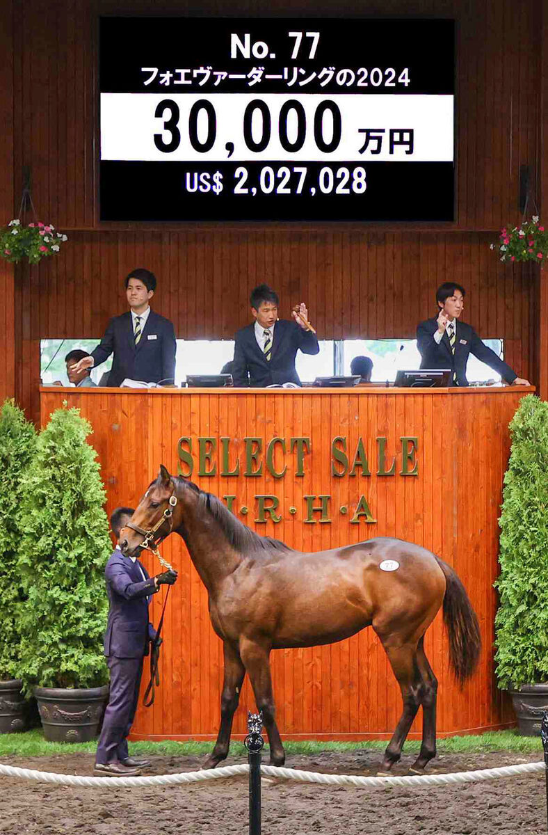 鷹*様 競馬必勝法本『覇王』 鷹*様 競馬必勝法本『覇王』