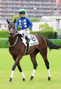 競馬 サイン入りパネル 第57回日本ダービー アイネスフウジン 中野英治