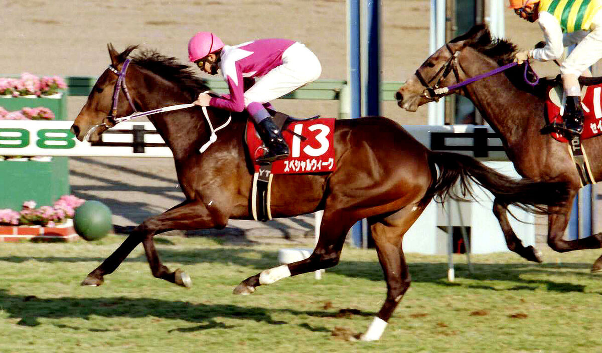 思い出の弥生賞】「最強のトライアル」武豊のスペシャルウィークが格好