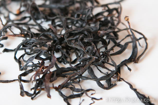 野生紅 紅茶 : お茶の専門店HOJO