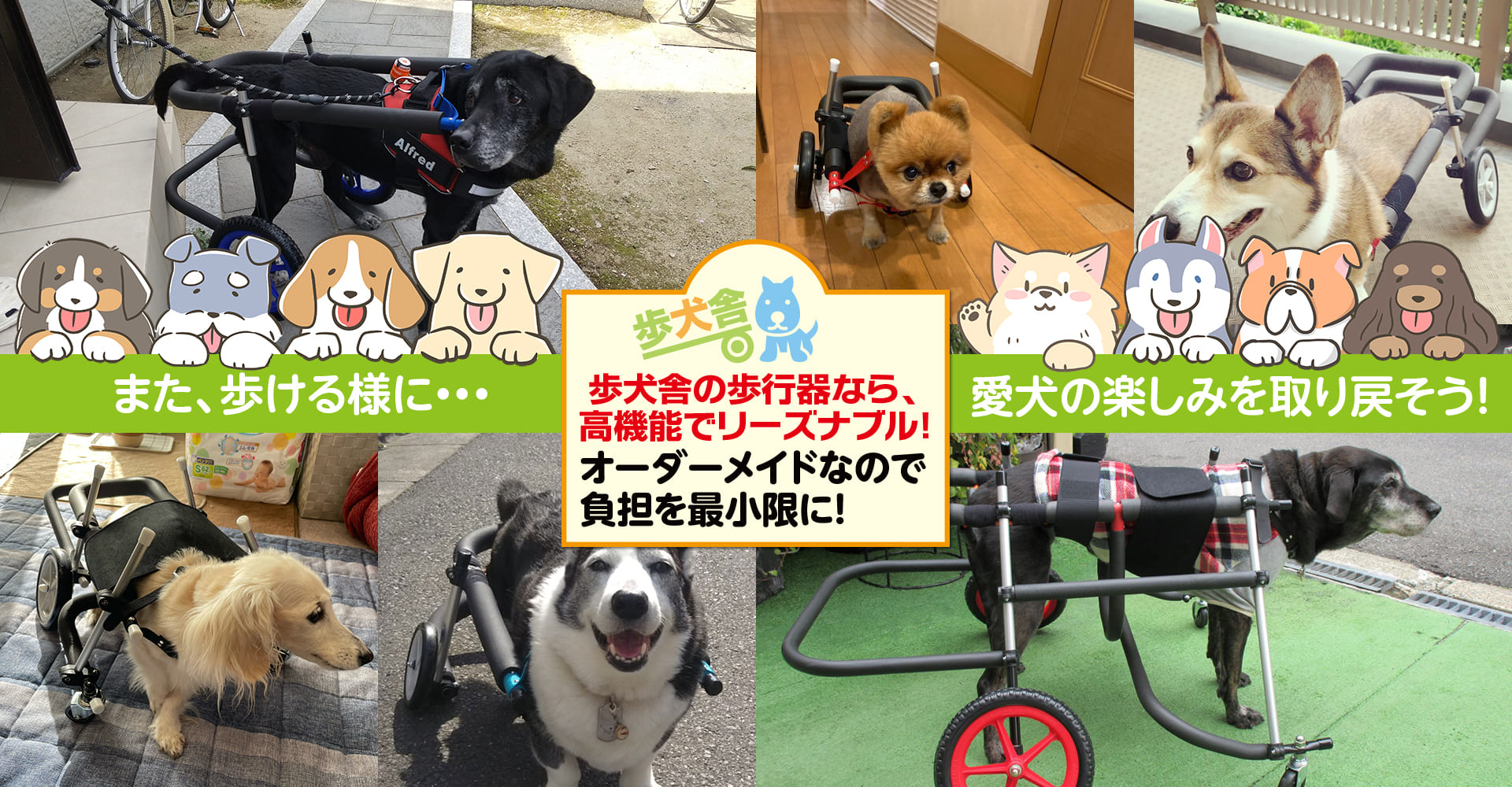 なおりん 犬用車椅子 犬の歩行器 シニア犬 犬の車いす 歩行補助