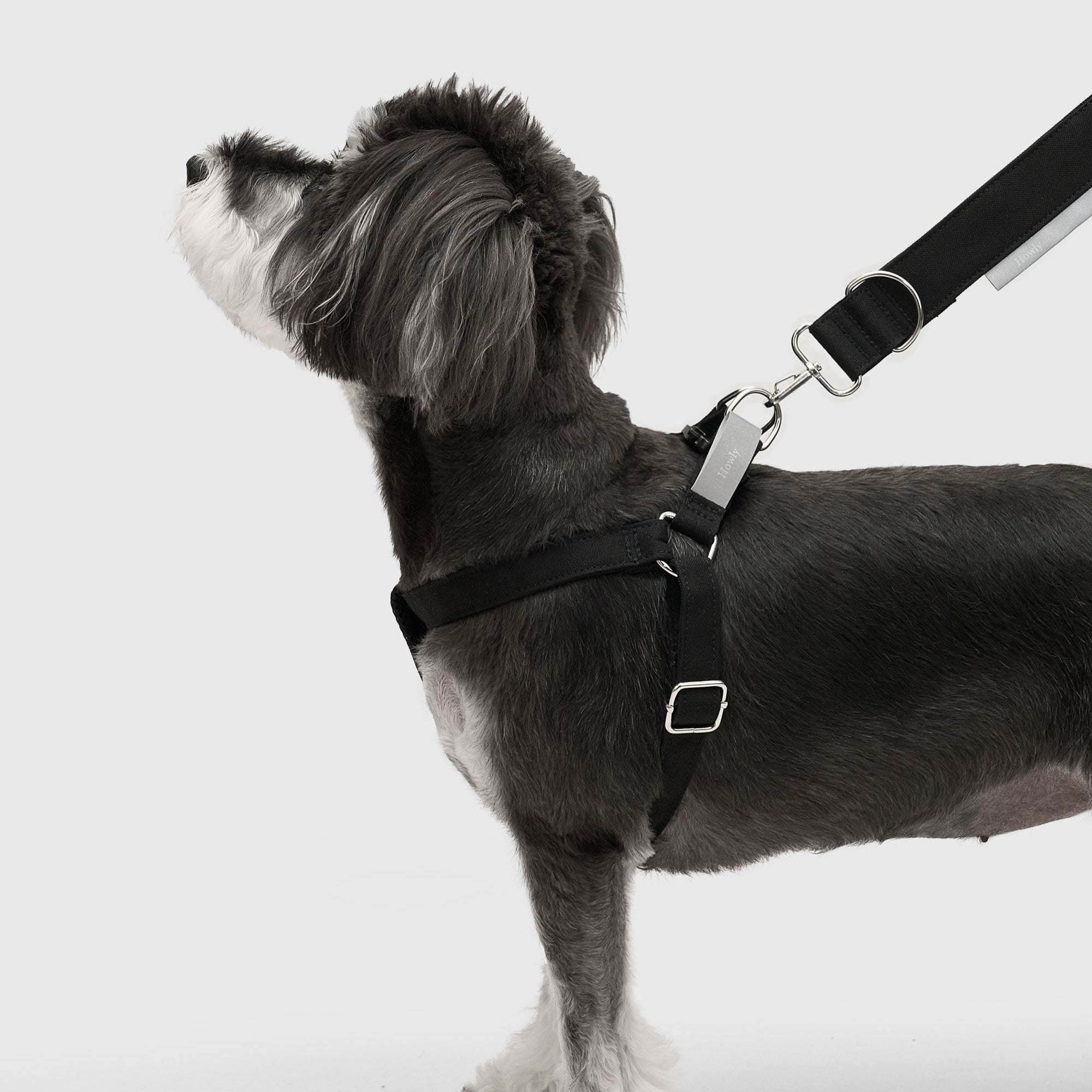 HOWLY UNIVERSAL HARNESS | Howly | シンプルで洗練されたドッグ