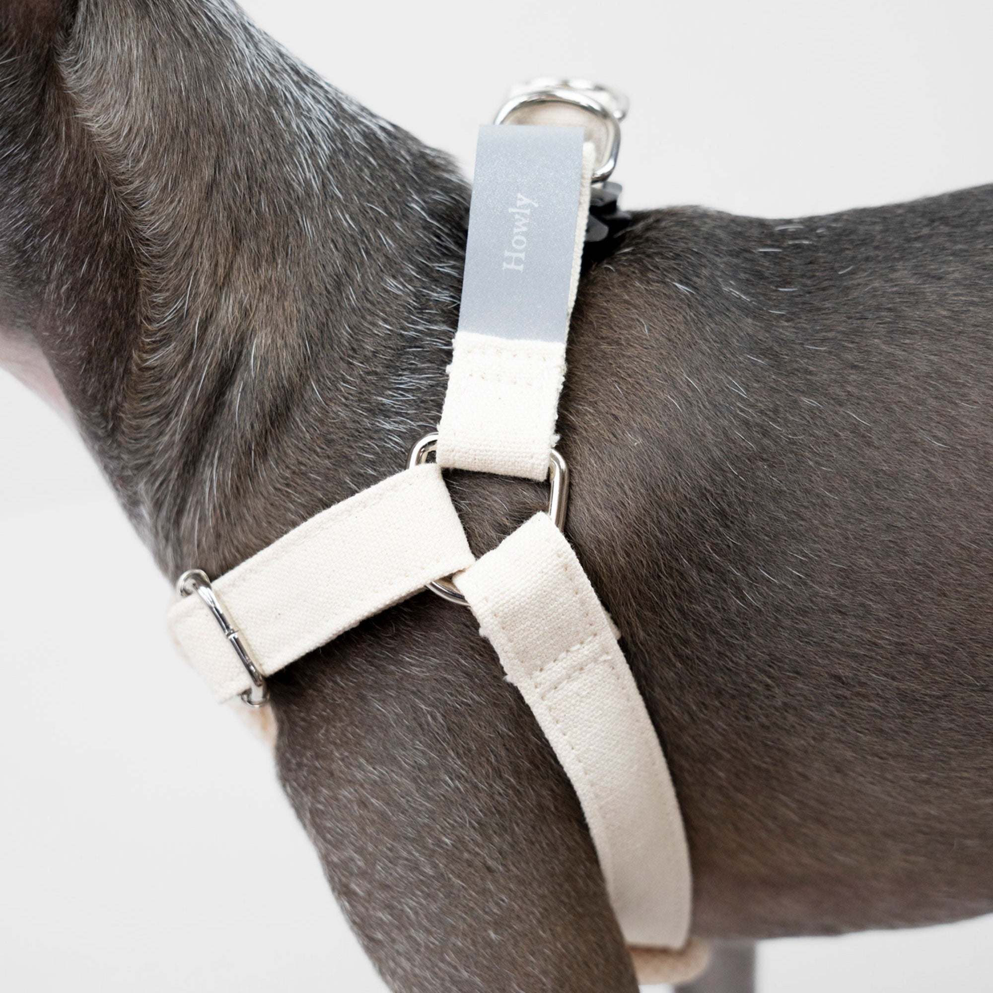 HOWLY UNIVERSAL HARNESS | Howly | シンプルで洗練されたドッグ