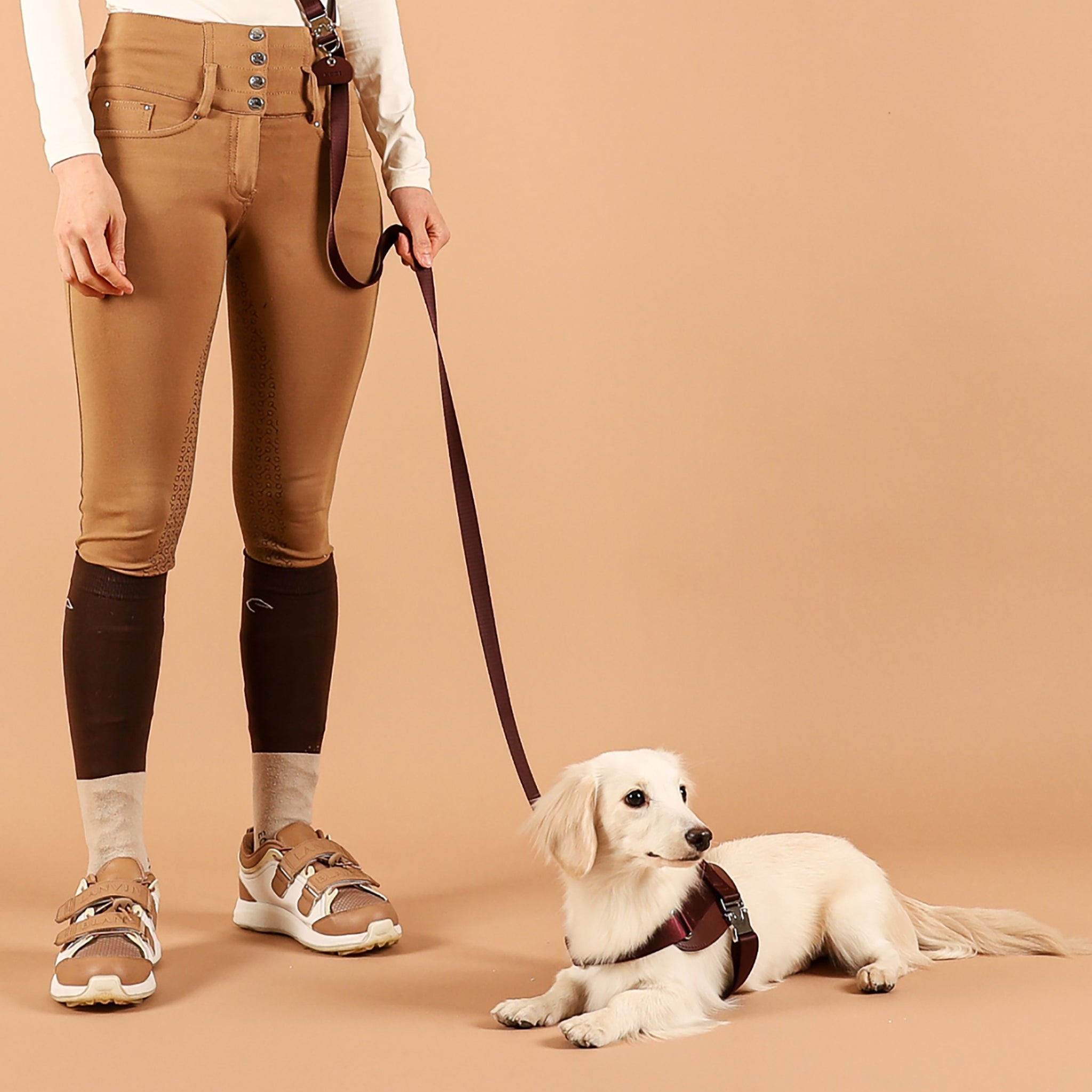 Saddle Harness : Burgundy – hozi