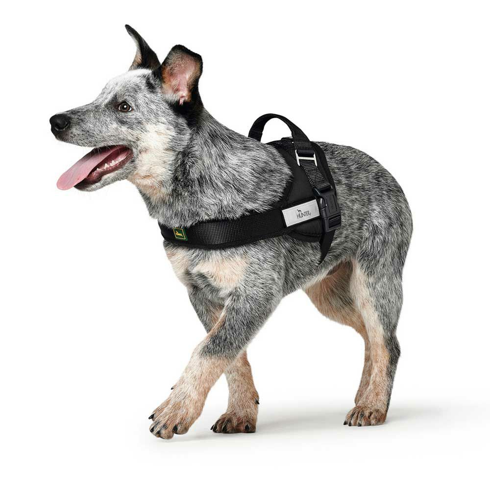 ハーネス – HUNTER