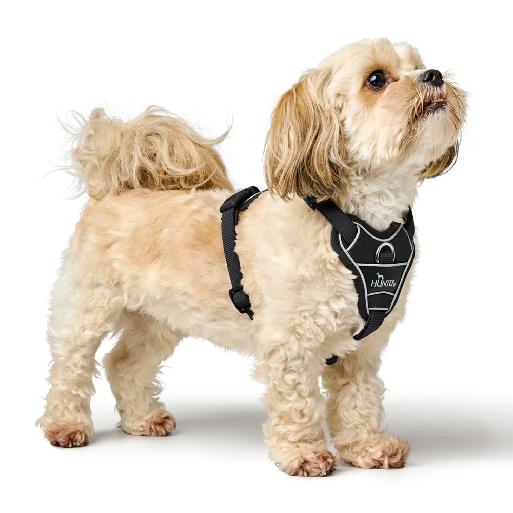 ハーネス – HUNTER HUNTER ハーネス 小型犬 DIVO XS
