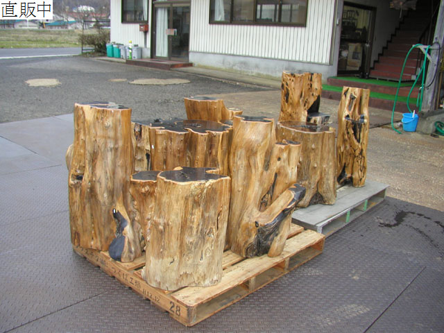 瘤花台 王将 置き物 天然木 高野六木 【パワーズウッド】 - 天然石