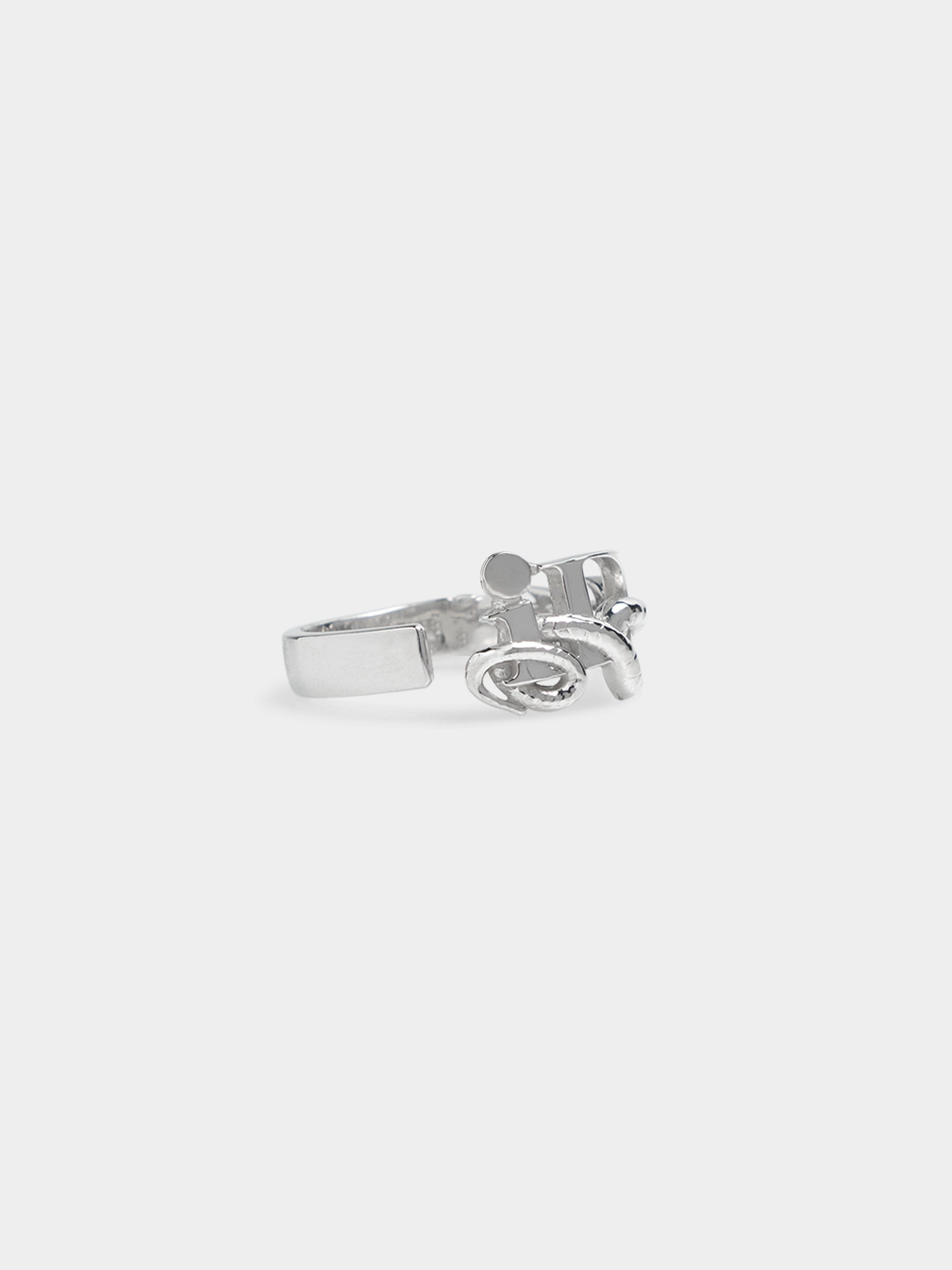 OUROBOROS RING - Silver 925 – IDEASWAM