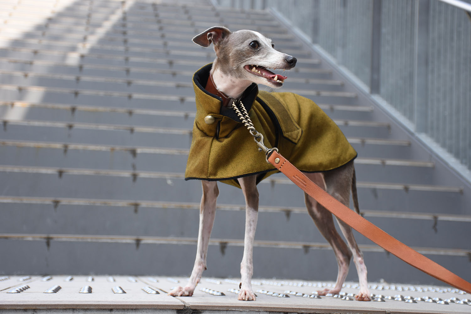 イタグレ服◇IG WORKS（アイ・ジー・ワークス）◇