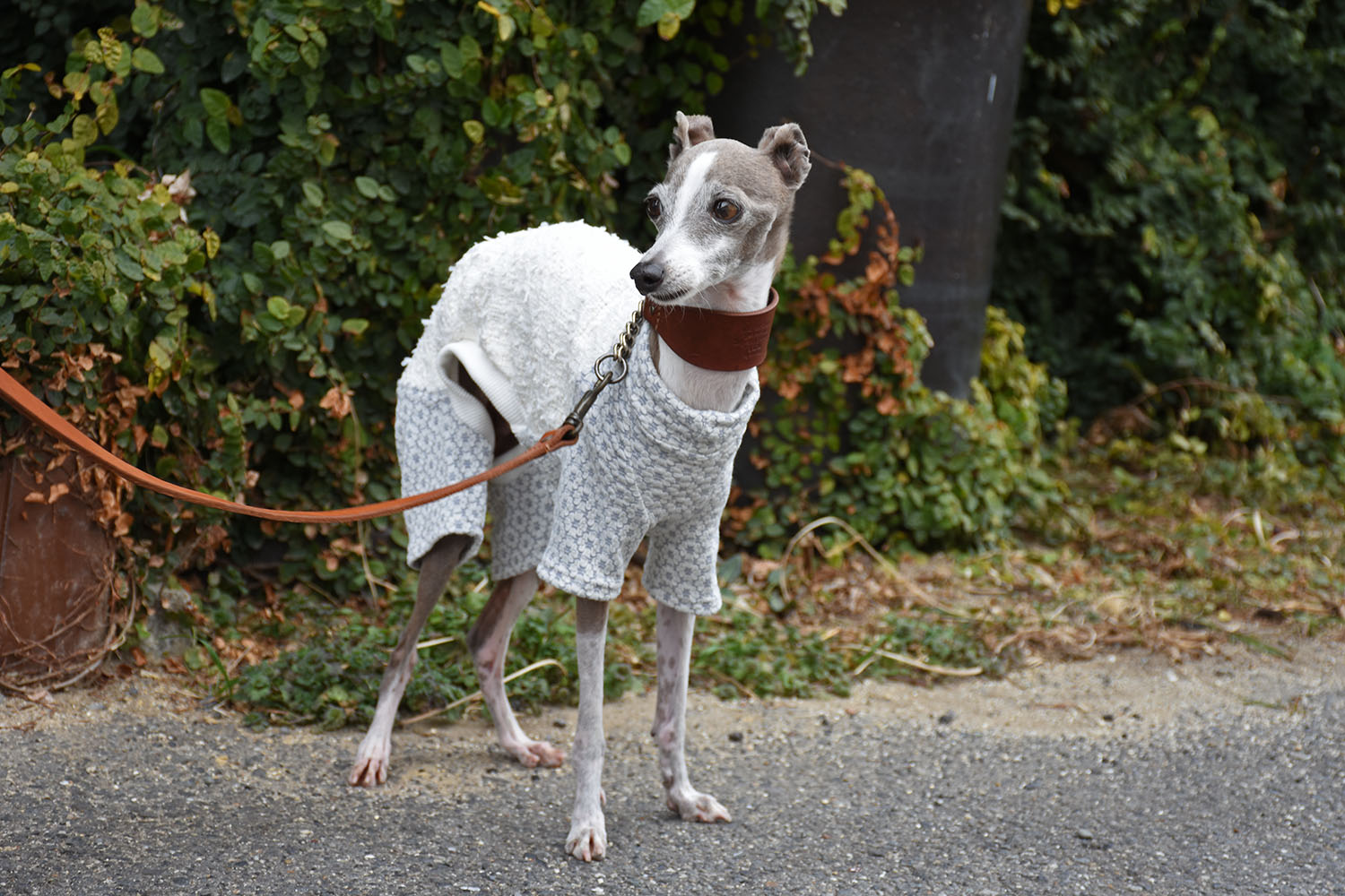 イタグレ服受付ページ☆マントコート
