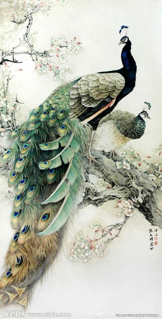 日本画 鳥の絵 NO.321】雉と桜の花鳥図の日本画アートポスター☆和柄鳥