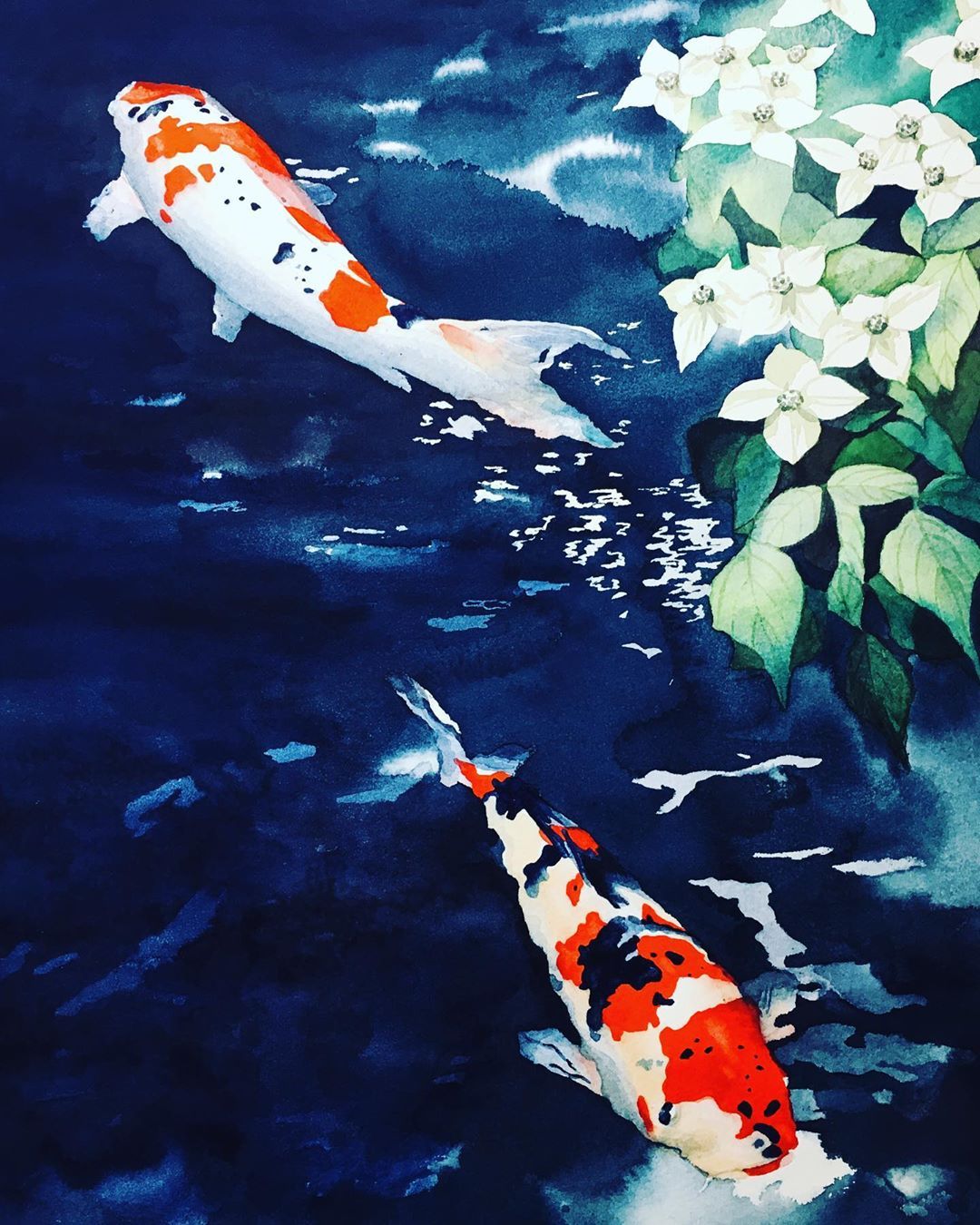 錦鯉 水彩画