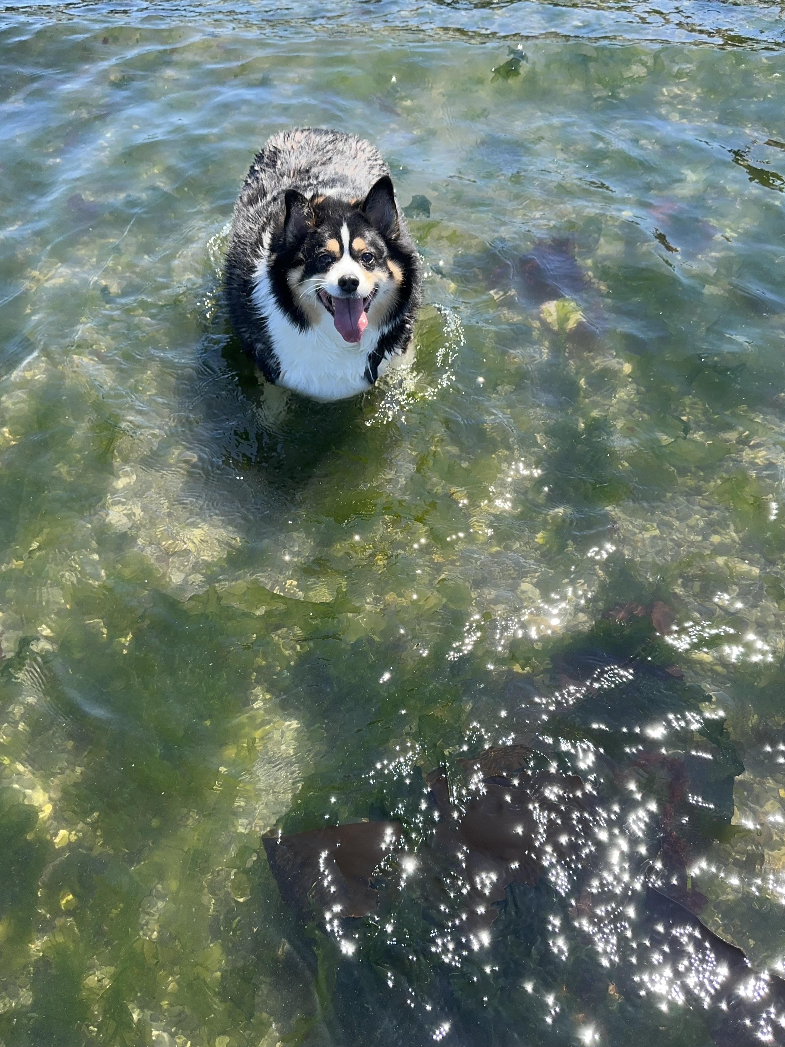 芸術写真 lost dogg 芸術写真 lost dogg 芸術写真 lost dogg 芸術写真