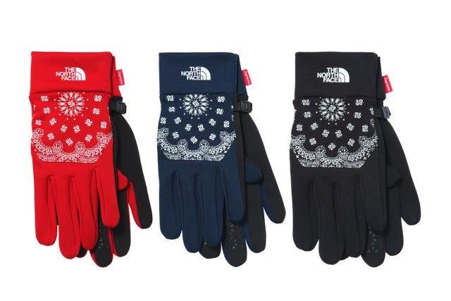 WTB] Supreme/The North Face Paisley Gloves : r/supremeclothing