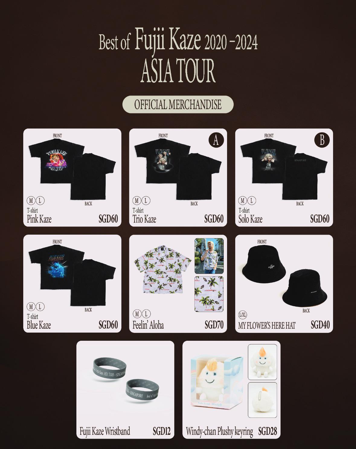 藤井風 オフィシャルグッズ Lサイズ ポテチTシャツ (Salt) 藤井風