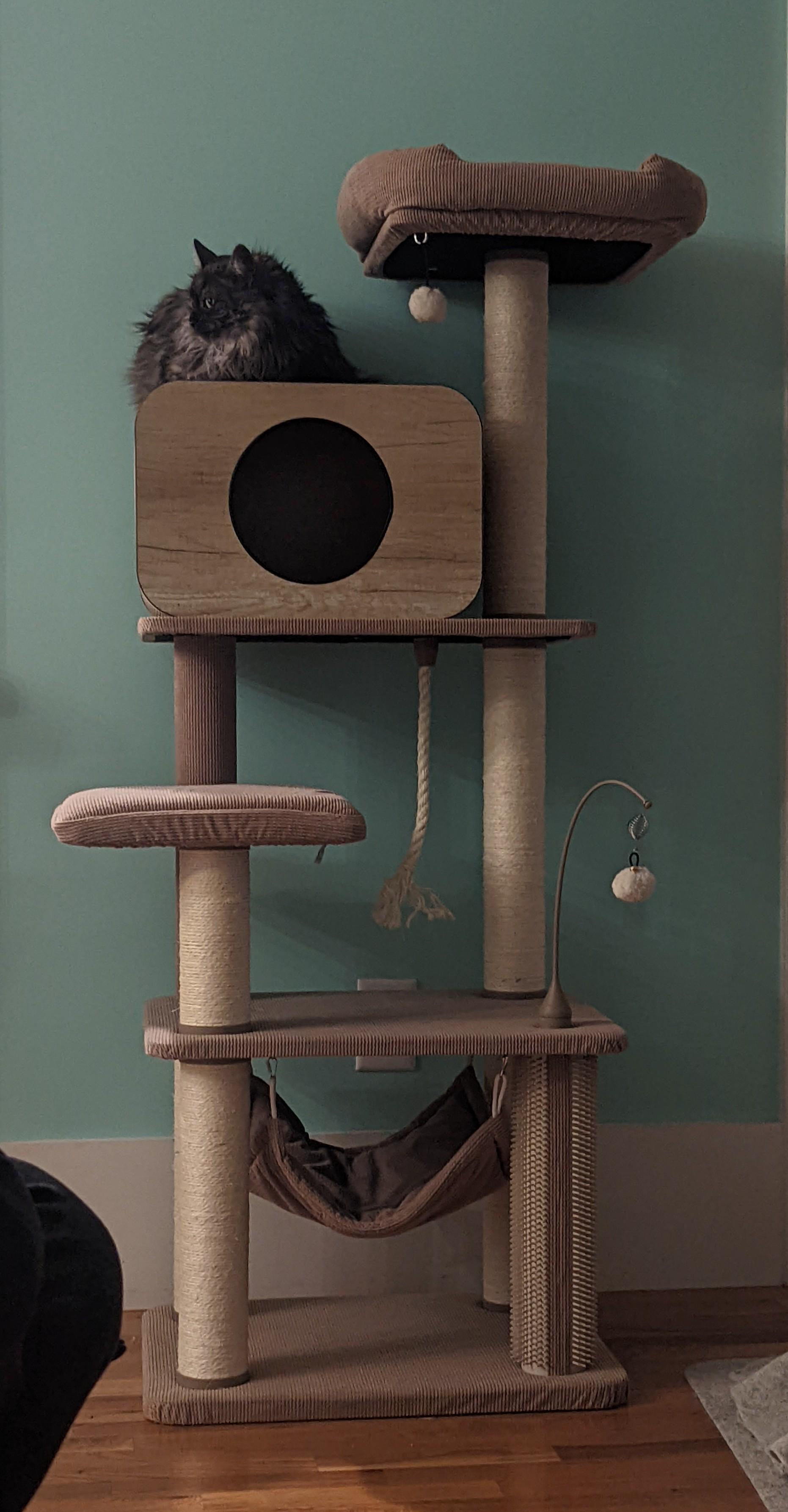 Catry Jiminy 60インチ キャットツリー、6段と1つのコンボ、ベージュ