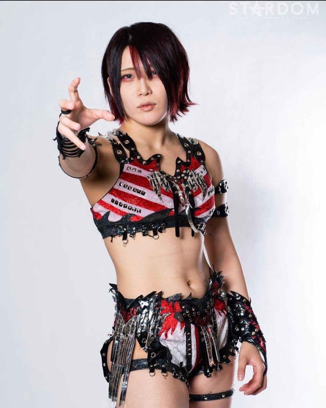 スターダム 林下詩美選手 パネル スターダム 林下詩美選手 パネル 林下