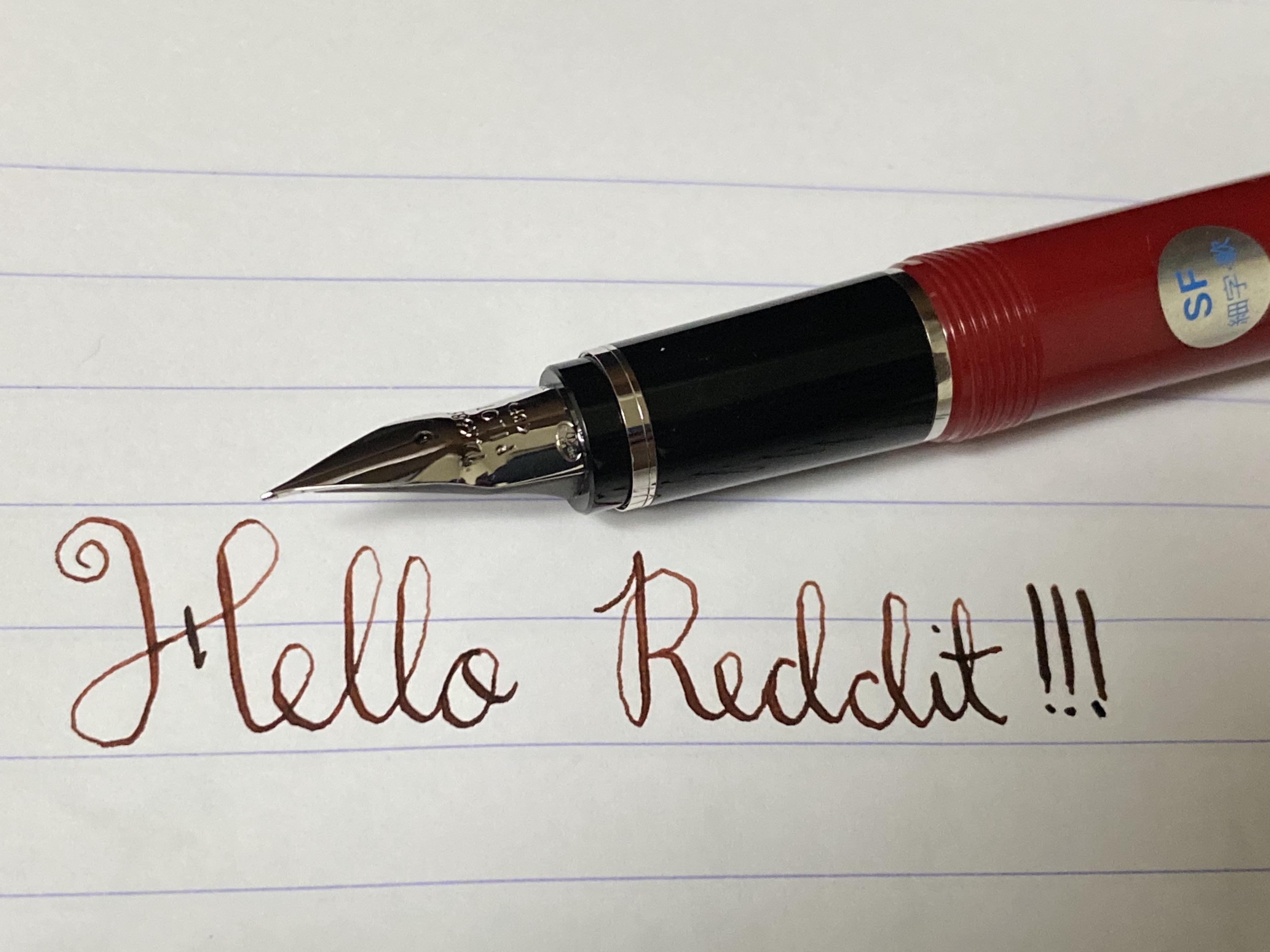 I got my very first expensive fountain pen, the Pilot Elabo SF and