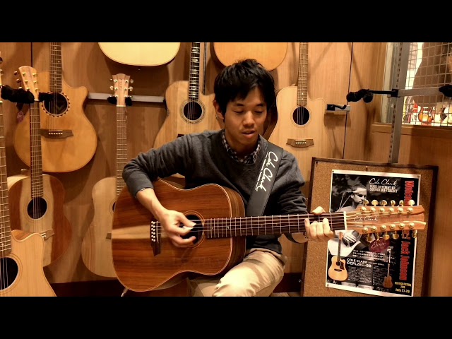 Cole Clark / Fat Lady CCFL2E-12-BLBLR Blackwood Top, Back and