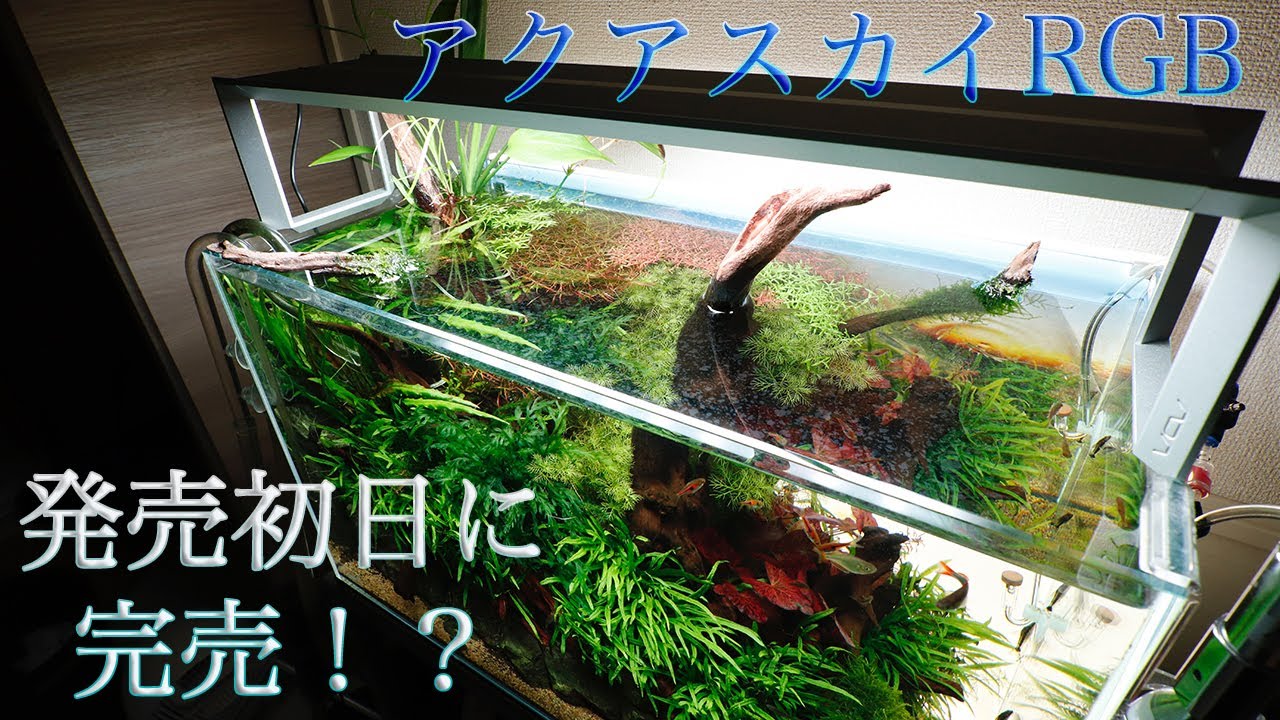 いかこども様専用 アクアスカイムーン 451 水槽 ライト 45cm水槽 ADA