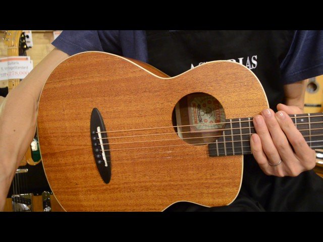 NEW/aNueNue Bird Guitar aNN-M2@guitarshoptantan - YouTube