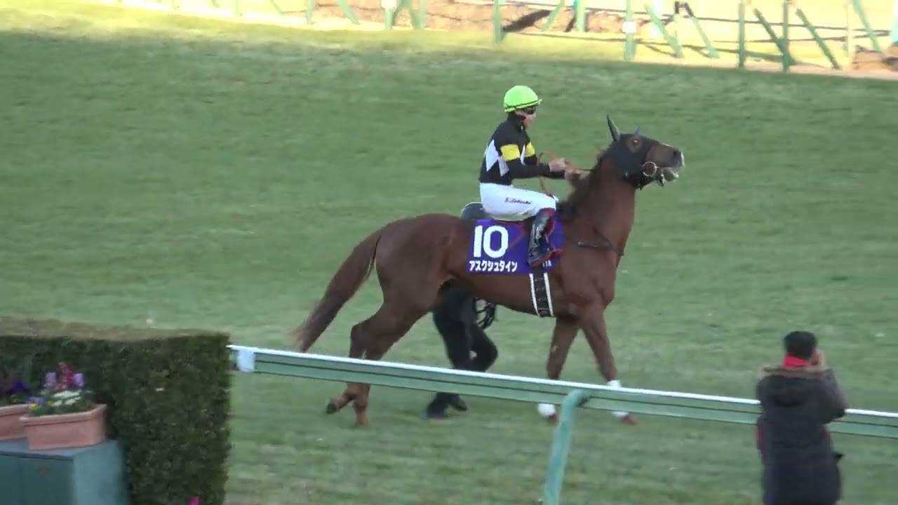 クロワデュノール メイクデビュー（新馬戦） 現地的中単勝馬券