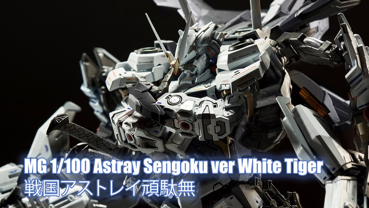 MG 1/100 Astray Sengoku ver White Tiger - Custom Build(戦国