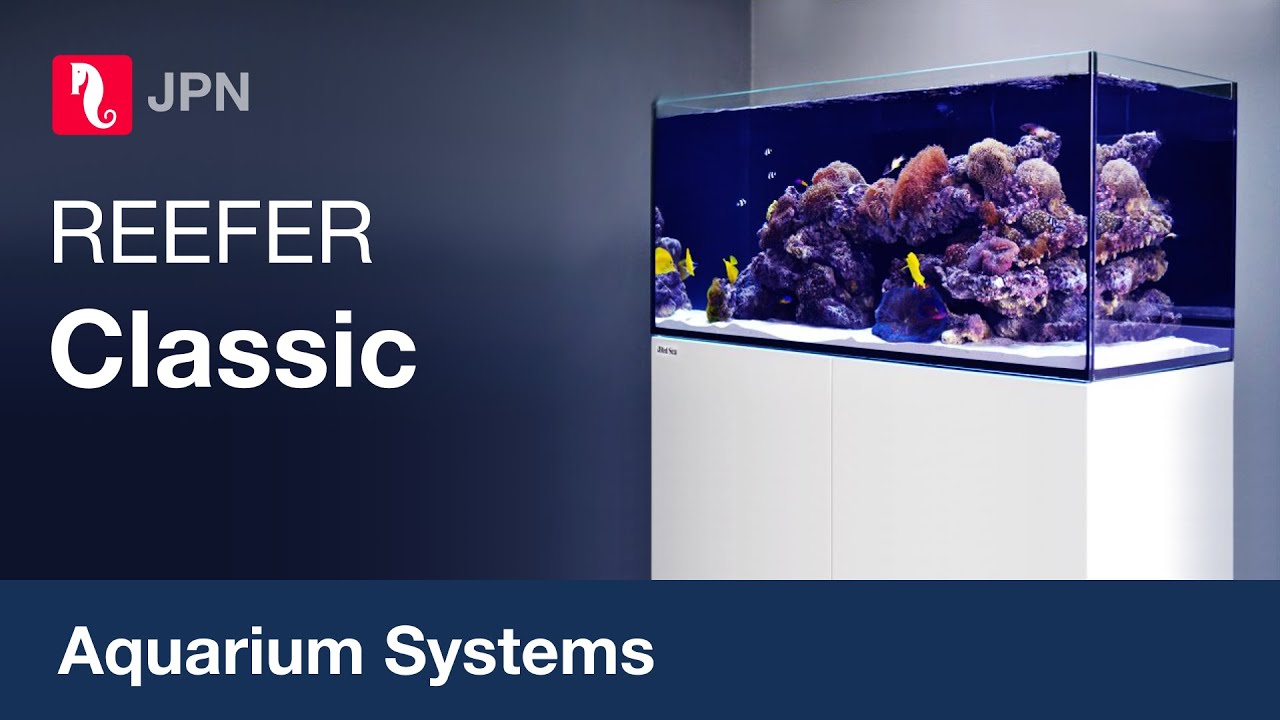 レッドシー REEFER 250DX G2+ ブラックキャビネット - 海水魚専門店