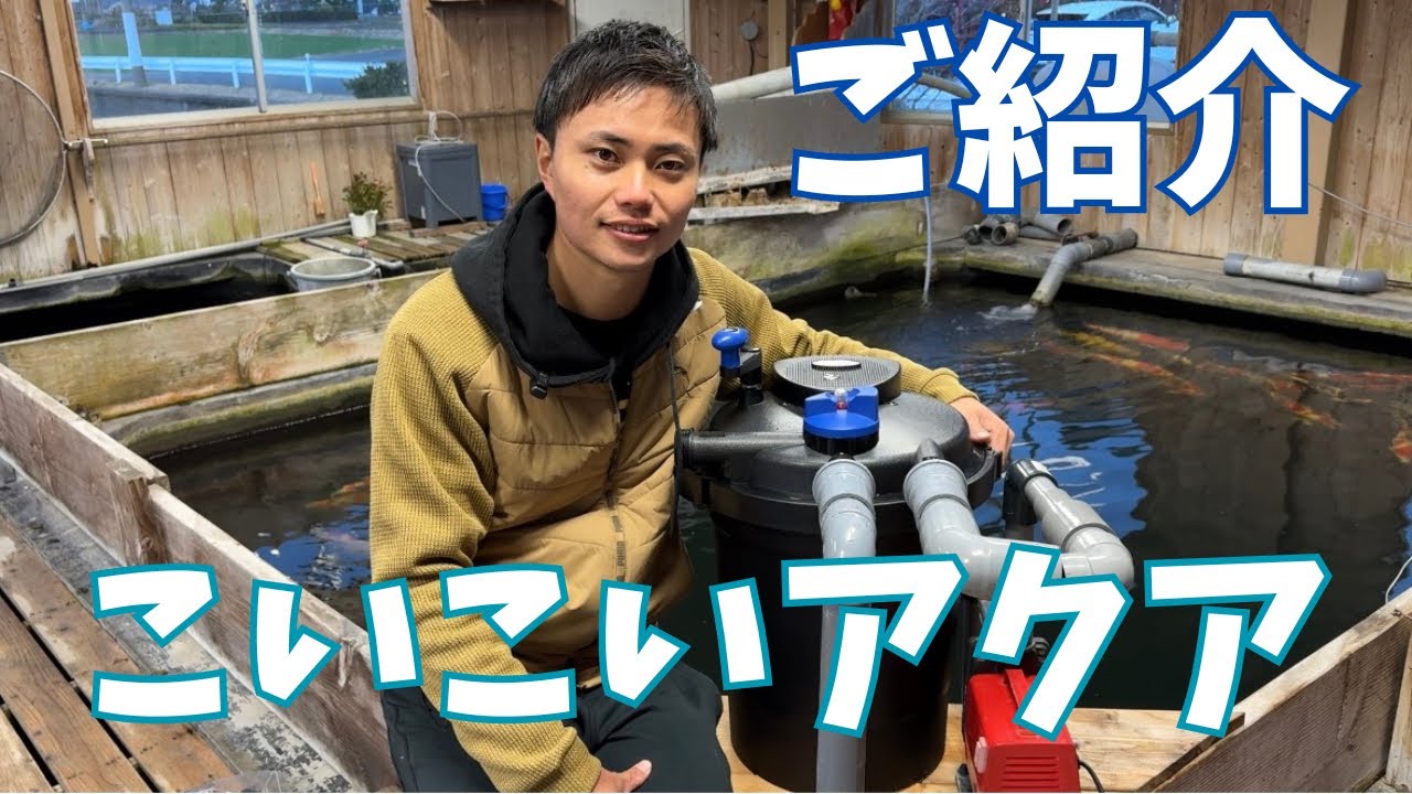 こいこいアクア - YouTube