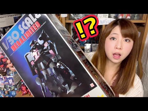 超巨大ガンプラ】何これ!? 珍しすぎる「激レアガンプラ」開封