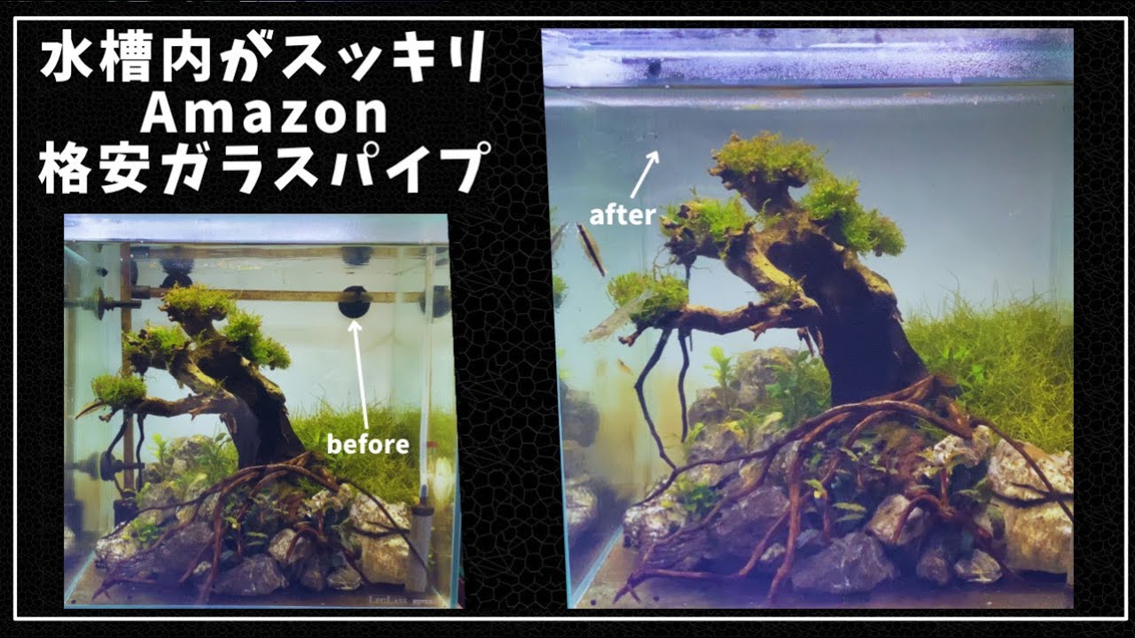 小型水槽内をスッキリ格安ガラスパイプ紹介 ＃アクアリウム ＃水草