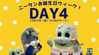 圧倒的ニータンの家族募集