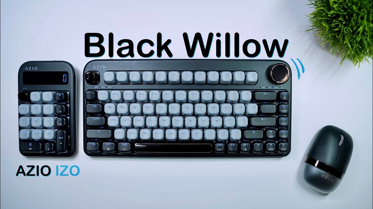 AZIO IZO Black Willow: Curated Bliss - YouTube