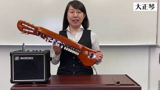 電気大正琴 アンプ チューナー ピック 大正琴 ピック」の人気商品一覧