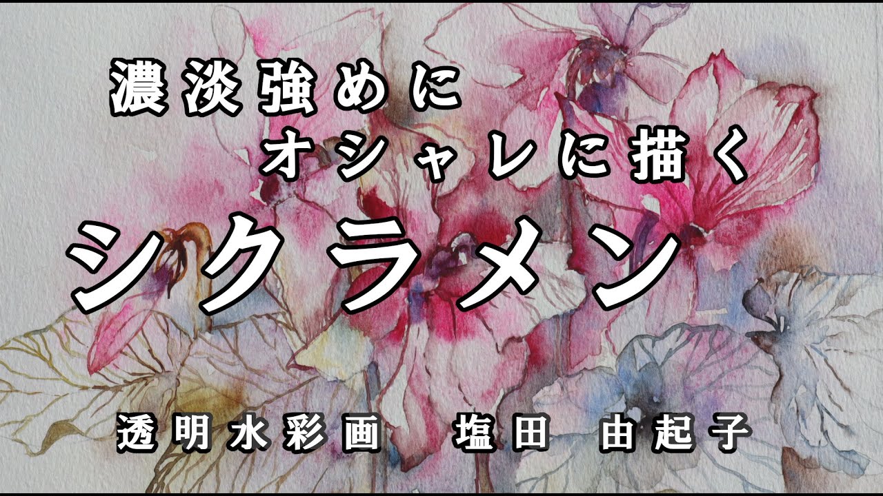 透明水彩画原画ピンクのシクラメン 透明水彩画原画ピンクのシクラメン