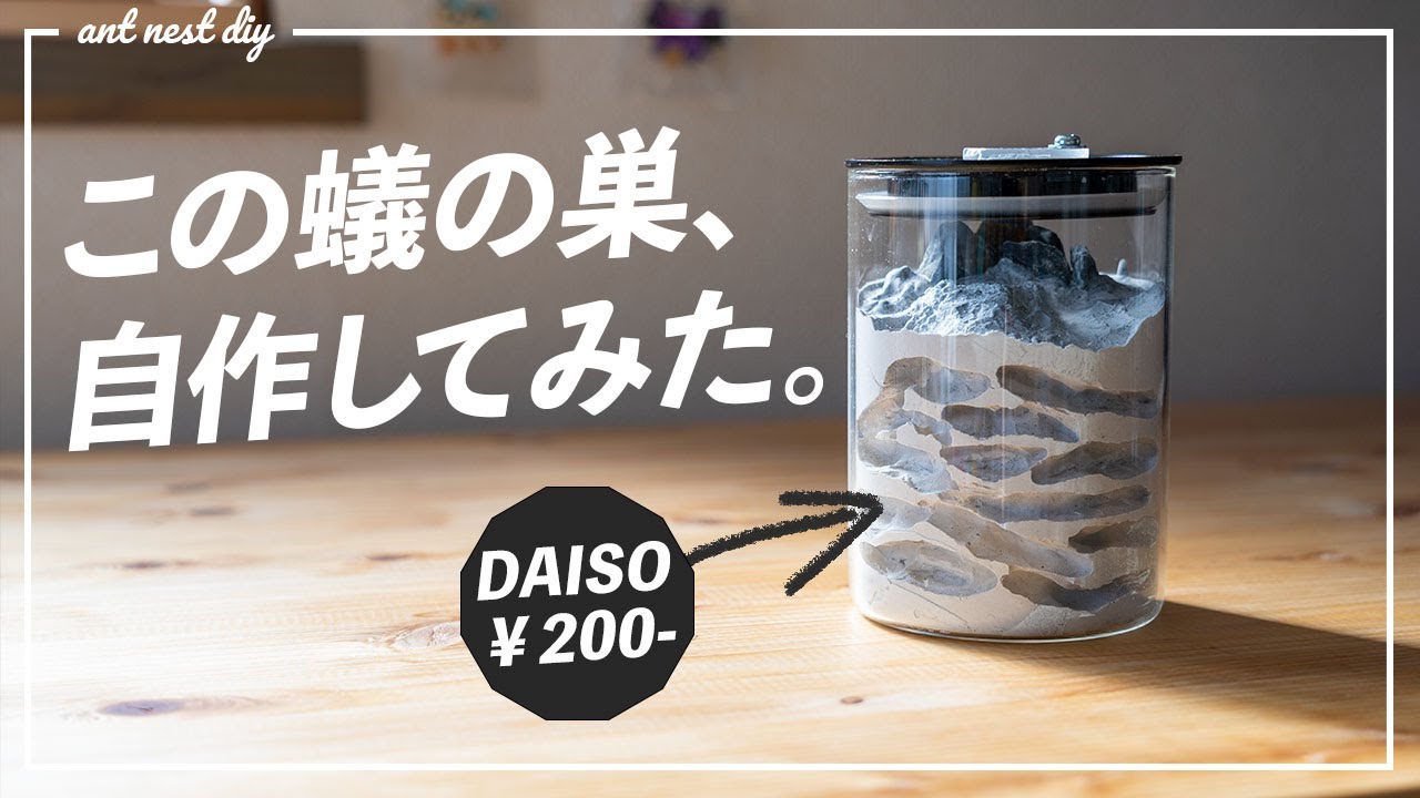 新アリ飼育ケース！円柱型石膏巣を作ってみた【蟻飼育】 - YouTube