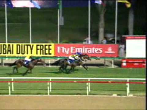 サラブレッドカード ステイゴールド(2001ドバイシーマクラシック