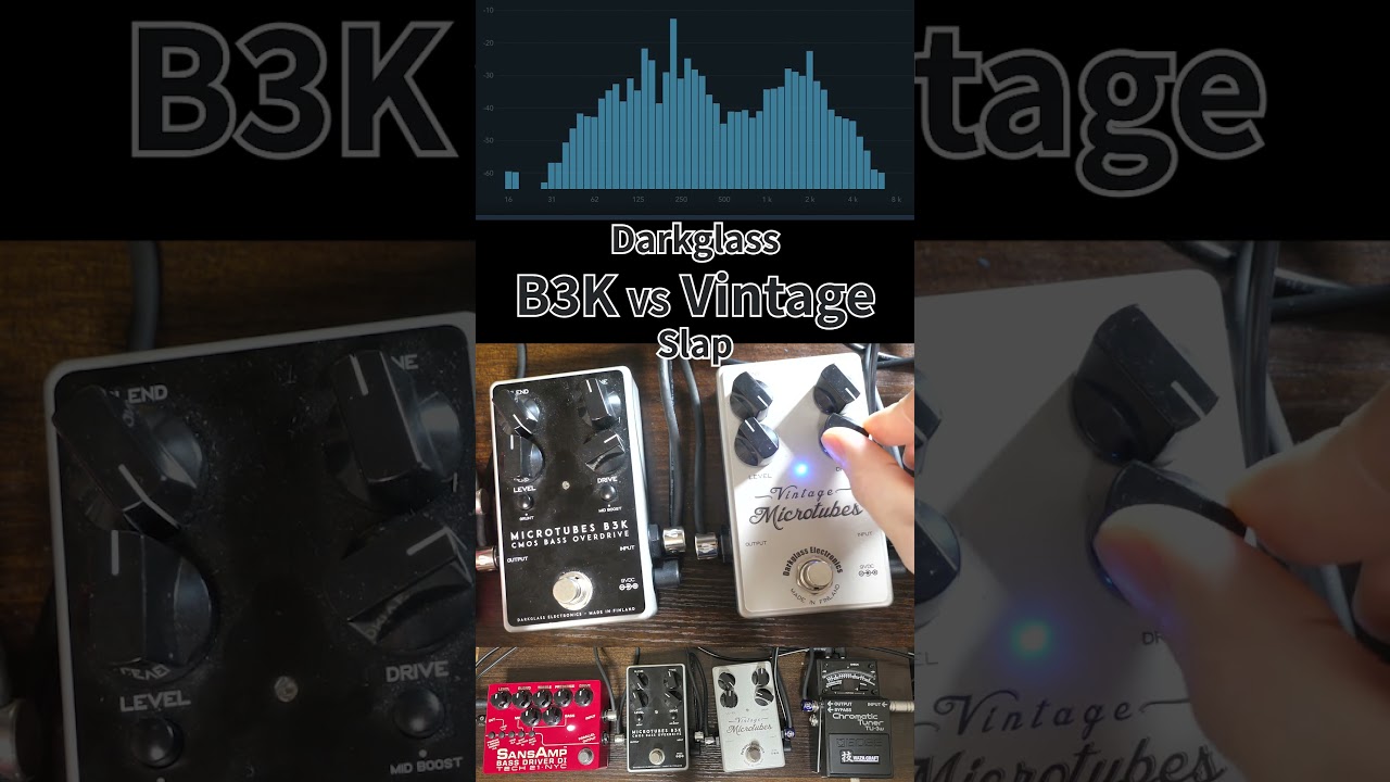 Darkglass B3K VS Vintage Microtubes ダークグラスの2機をベース