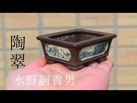 希少1960年頃◇水野正雄 陶翠 長方白交趾 蘭・菊・梅・竹「四君子」彫