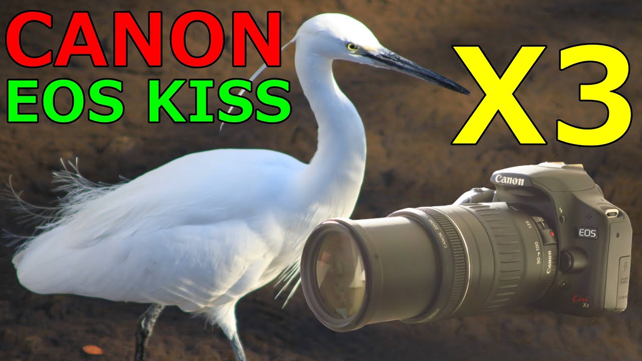 Canon EOS Kiss X3 デジタル一眼レフカメラ 動作未確認 ジャンク CANON