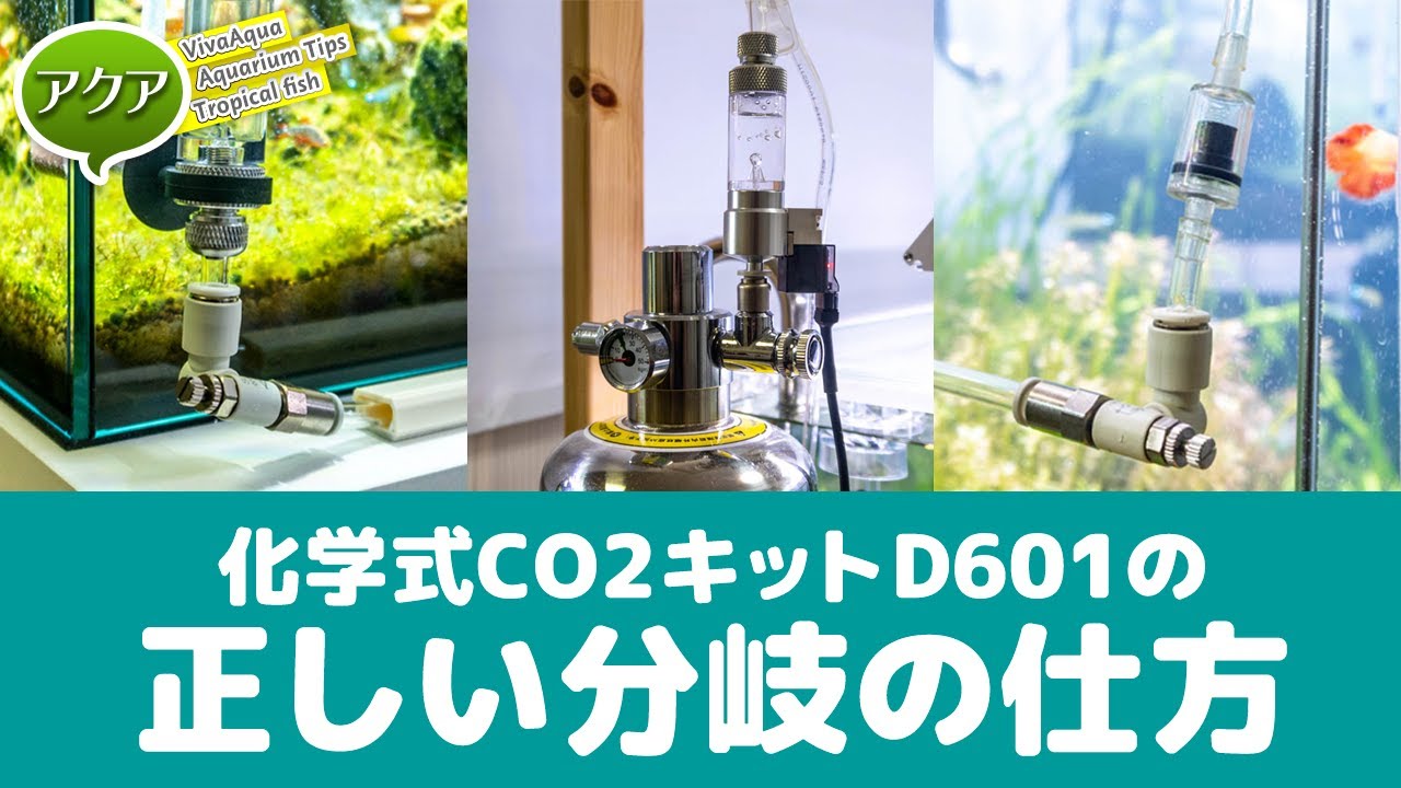 化学式CO2ジェネレーターD601（PRO-D701s、PRO-D801s）の正しい分岐の