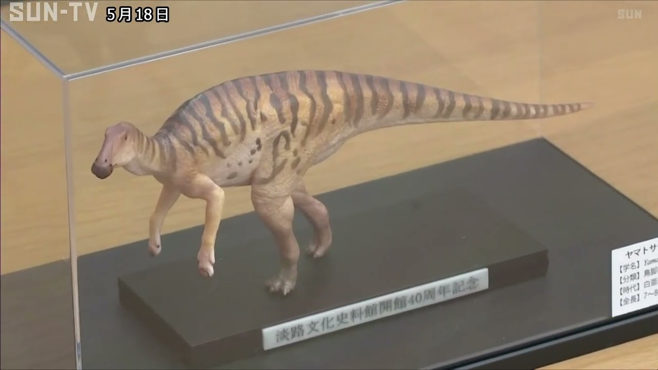 maxresdefault.jpg?sqp=-